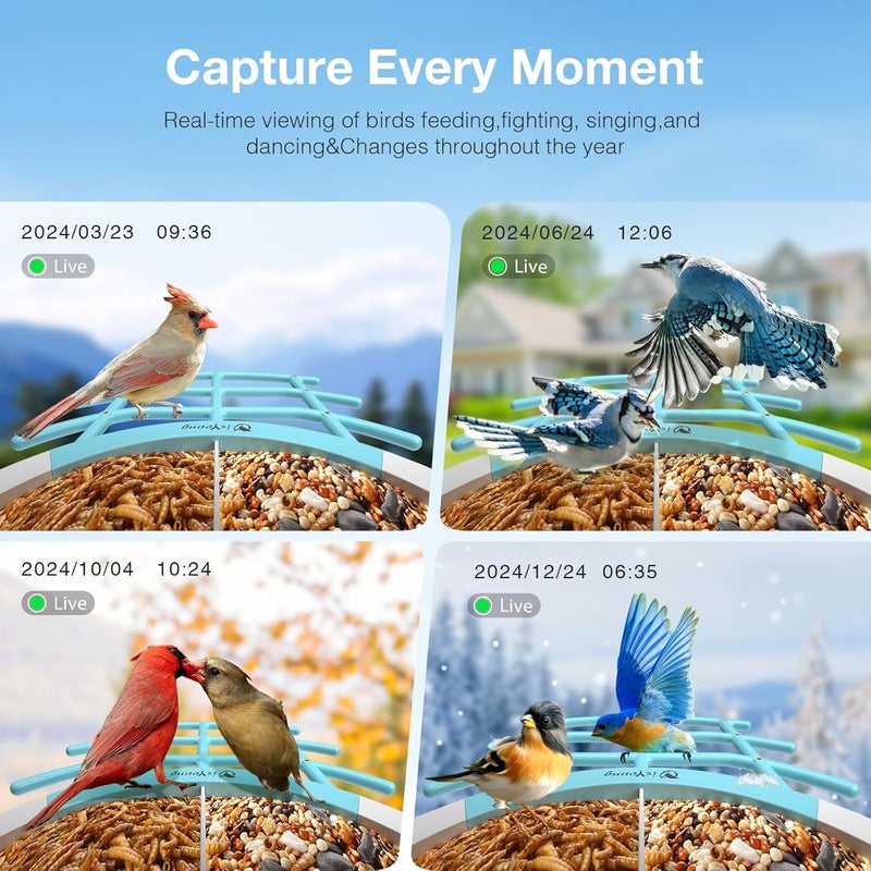 isYoung Smart Bird Feeder with Camera, 2K HD, Dual Granary, AI Identify 16,000+ Birds, Auto-Capture, Motion Detection, 5W Solar, 170° Wide View, Ideal Gift for Birds Lovers, Outdoor Bird Watching. - Image 5